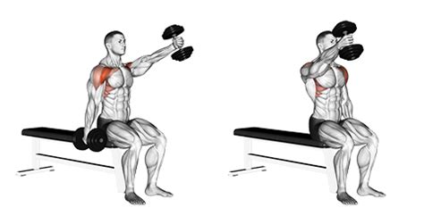 Exercise Database (Shoulders38) - Seated Alternate Dumbbell Front Raises — Jase Stuart - The ...