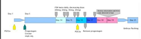 Exam 4 Chapter 20 Biotechnology Flashcards Quizlet