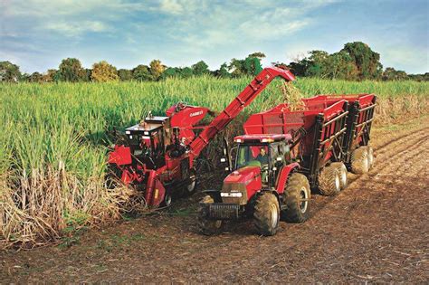 Moagem de cana de açúcar no Centro Sul atinge 25 61 milhões de