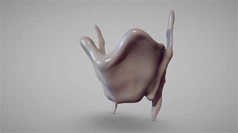 Larynx A 3d Model Collection By Teja9075 Sketchfab