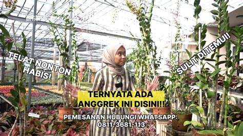 Ada Anggrek Ini Disini Mitra Flora Nusantara Youtube