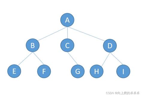 数据结构【树】（理论篇） Csdn博客