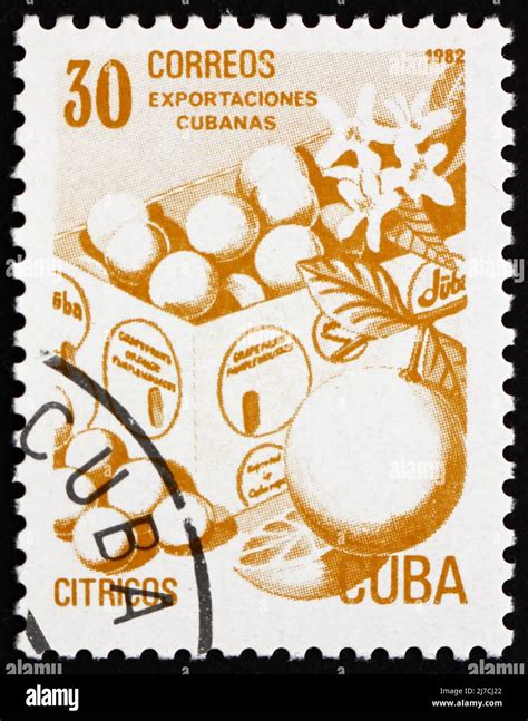 CUBA CIRCA 1982 A Stamp Printed In The Cuba Shows Fresh Fruit Cuban