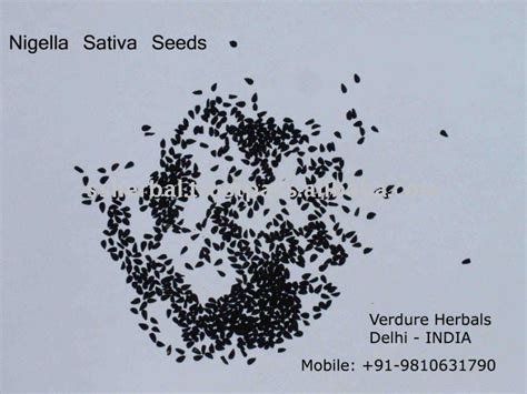 Nigella sativa seeds,India Nigella sativa price supplier - 21food