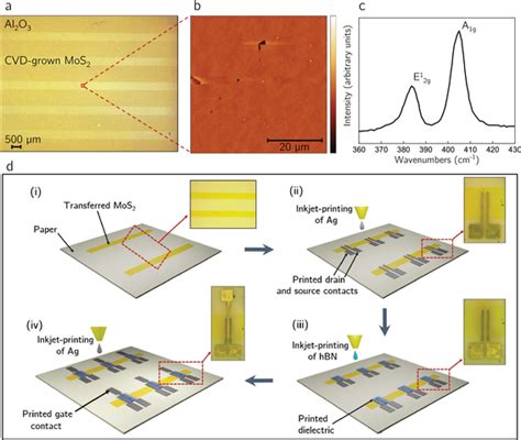 Characterization Of Cvd‐grown Mos2 And Fets Fabrication A Optical