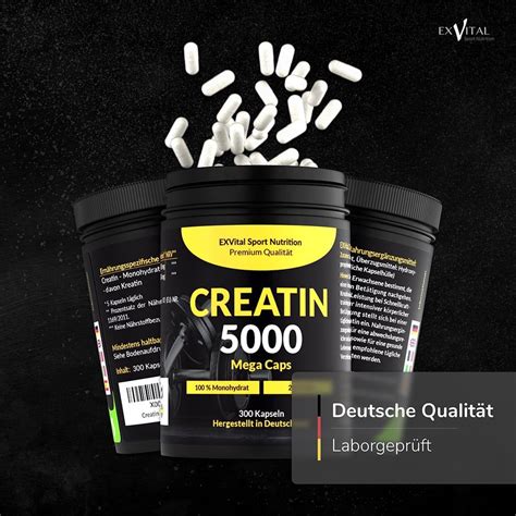 EXVital Creatin 5000 Monohydrat Mega Caps 350 G Shop Apotheke