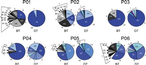 Phylogenetic Analyses Of Viral Quasispecies Evolution Before And D