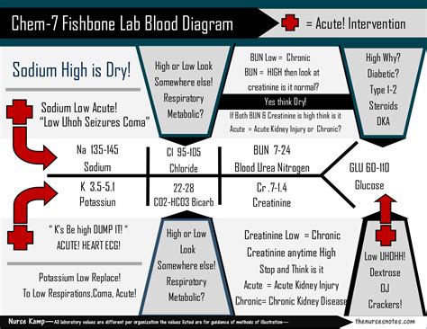 Cbc Fishbone Diagram Nursing Fishbone Lab Values Diagram For