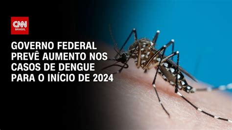 Governo federal prevê aumento nos casos de dengue para o início de 2024