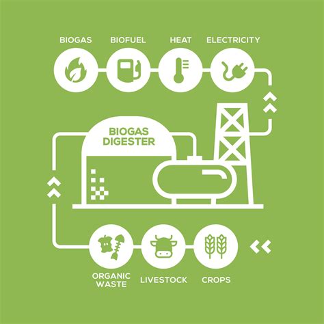 Simple Biogas Plant Diagram Biogas Production Stages Renewable Energy