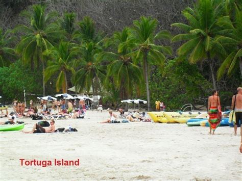 Tortuga Island | Sights & Attractions - Project Expedition