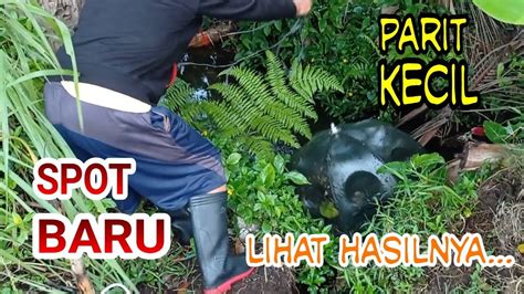 Spot Baru Pasang Bubu Payung Di Parit Kecil Lihat Hasilnya Youtube