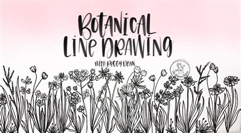 Botanical Line Drawing | Peggy Dean | Skillshare