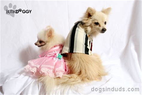 Pomeranian | Dogs In Duds For Dogs Who Like To Dress Up