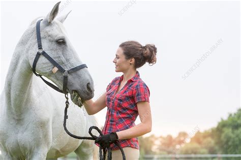 Woman Feeding Horse Stock Image F0153923 Science Photo Library