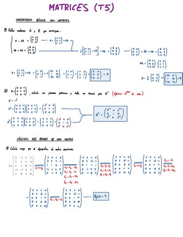 Matrices Tema Completo Con Ejercicios De Todos Los Tipos Posibles