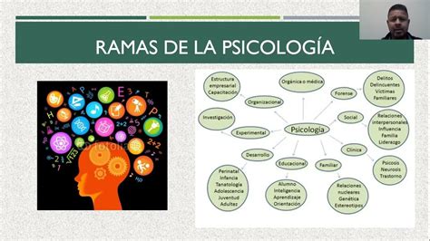 Primera Sesion De Psicologia YouTube