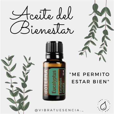 Eucalipto DoTERRA Aceite Eucalipto Aceites Esenciales