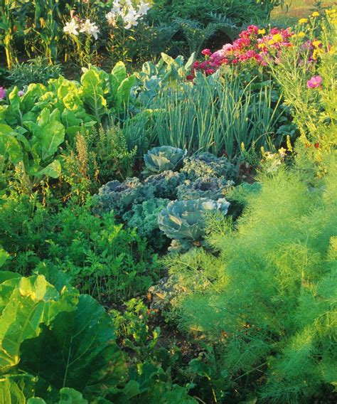 How to design a potager garden for vegetables and flowers | Gardeningetc