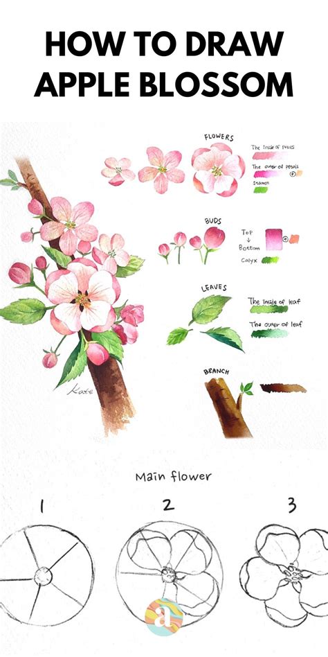 Heartwarming Info About How To Draw An Apple Blossom - Feeloperation