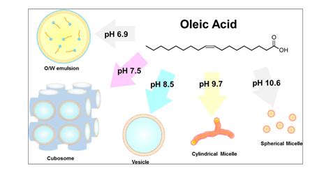 Oleic Acid Triglyceride