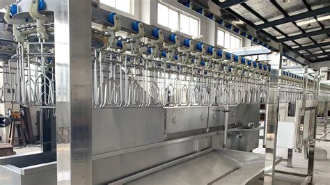 Boost Your Poultry Processing With Versatile 300 3000 BPH