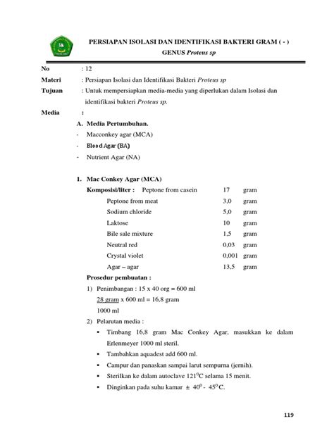 identifikasi bakteri proteus sp