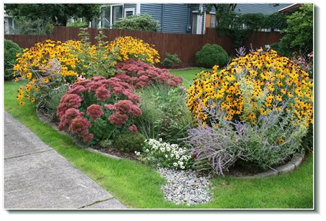 19 Rain Garden Examples Ideas You Should Look | SharonSable