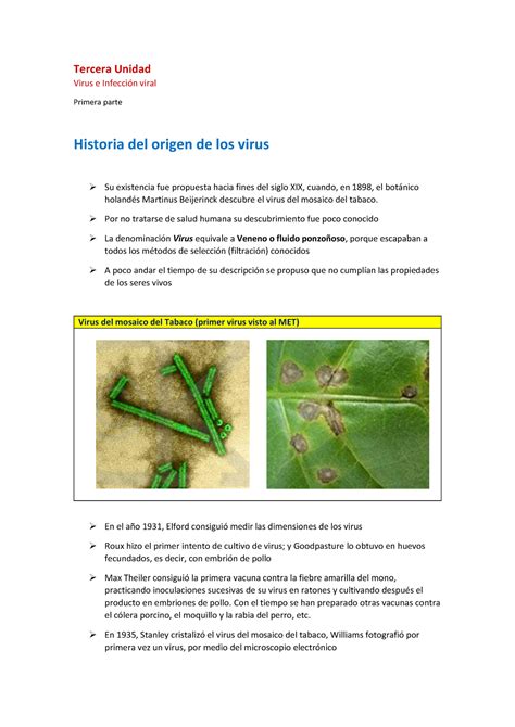 Clase 1 Características Y Ciclo De Vida De Los Virus C4302661 Aff7fd5674497 A41740 F5c23