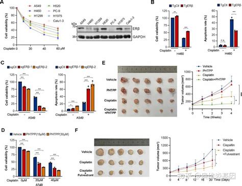 If243！医药顶刊《drug Resistance Updates》！转录组学助力nsclc顺铂耐药性机制研究 知乎