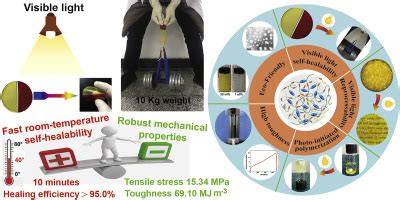 Transparent Eco Friendly Super Tough Living Supramolecular Polymers