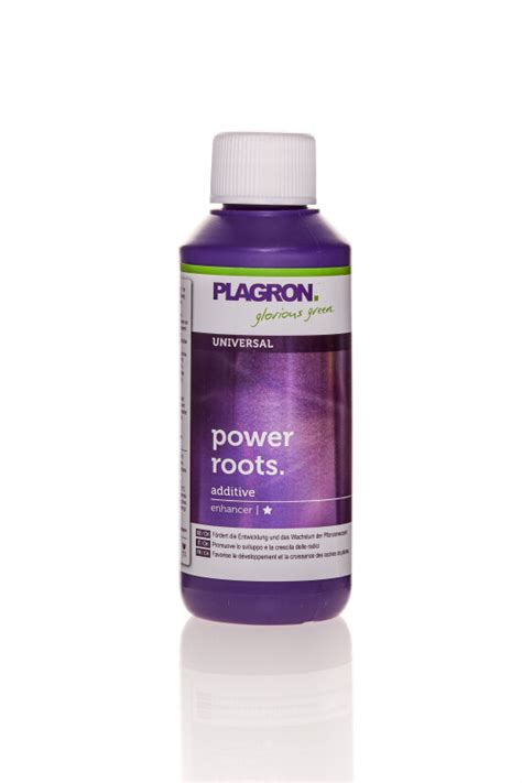 Plagron Power Roots Ml