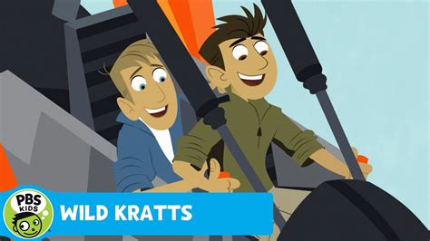 Wild Kratts Pbs Kids Go