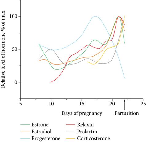 Schematic Illustration Of The Changes In The Levels Of Serum Hcg