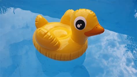 Premium Photo High Angle View Of Yellow Toy Floating On Swimming Pool