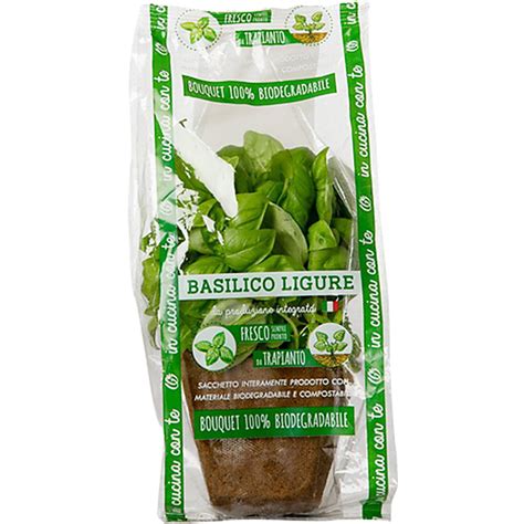 Basilico 90 GR Origine Italia Basko