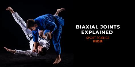 Biaxial Joints Explained – Sport Science Insider