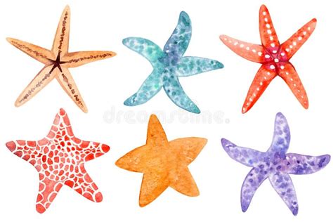 Set Of Starfish Clipart Stock Image Image Of Explore 77543025