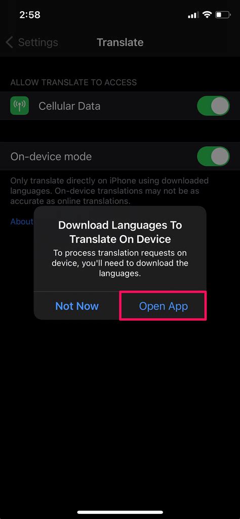 How To Enable On Device Translate Mode On Iphone