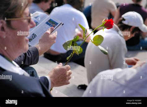 red rose as symbol for social democratic party, Stockholm, Sweden Stock ...