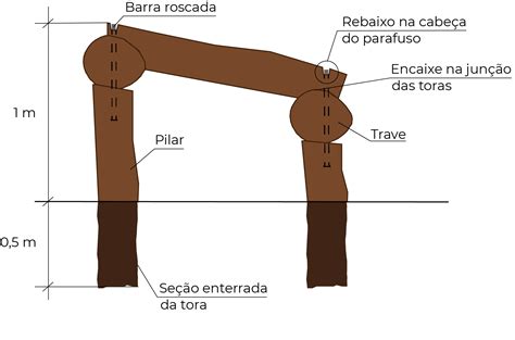 Ponte Dna Crian A E Natureza