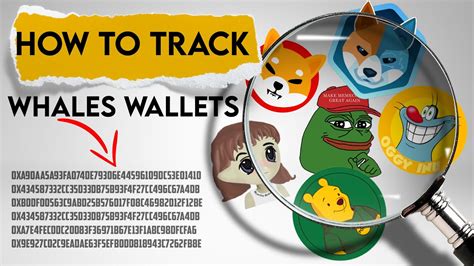 How To Track Crypto Whales Follow Meme Coins Whales Youtube