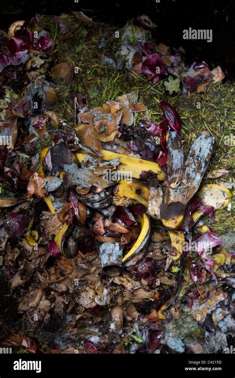 Detail Of Organic Vegetable And Fruit Matter Decomposing Inside A Home