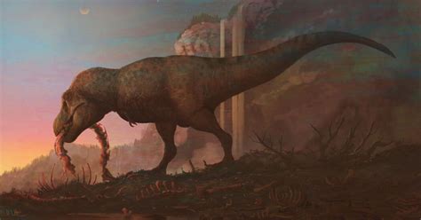 Dividing T Rex Into Species Becomes A Royal Rumble Dinosaur