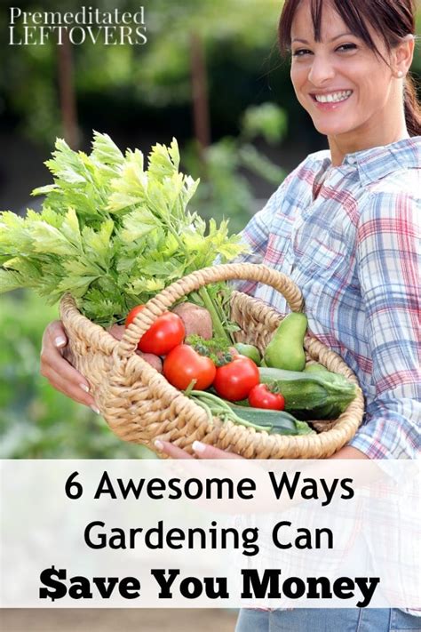 6 Awesome Ways Gardening Can Save You Money