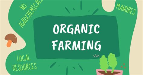 Organic Farming Techniques | Fasci Garden