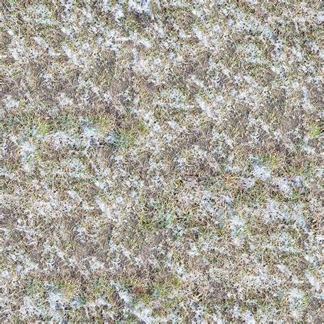 Frozen Grass With Snow Pbr Texture