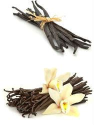 Vanilla Beans Manufacturers Suppliers In India