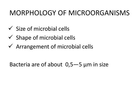 Microbiology Microbiological Laboratory Systematics Of Microorganisms