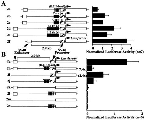 Positional enhancer blocking activity of the chicken β globin insulator